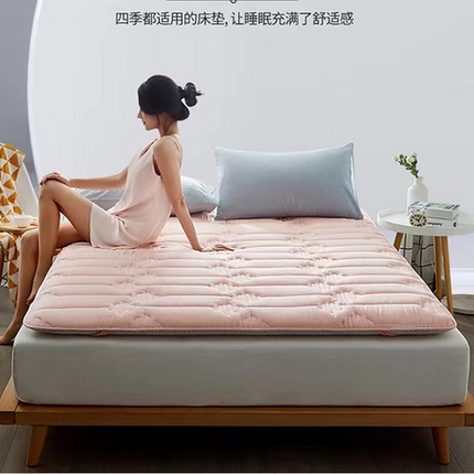 （总）红淳家纺 2024新款全棉床垫学生宿舍床褥家用床垫子