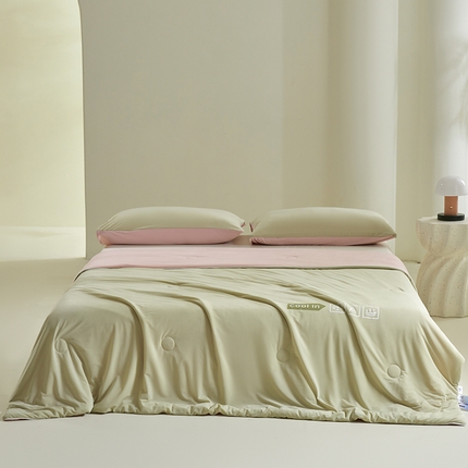 桃子 2024新款A类高品质冰冰凉雪花冰感凉皮双面凉感夏被 冰感凉皮-西瓜粉（加倍透气）