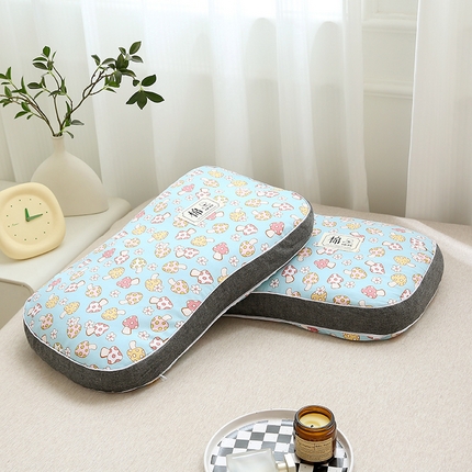 91家纺网 家纺一手货源 找家纺 （总）梦叶草 2024新款全棉水洗印花荞麦枕芯纯荞麦枕头