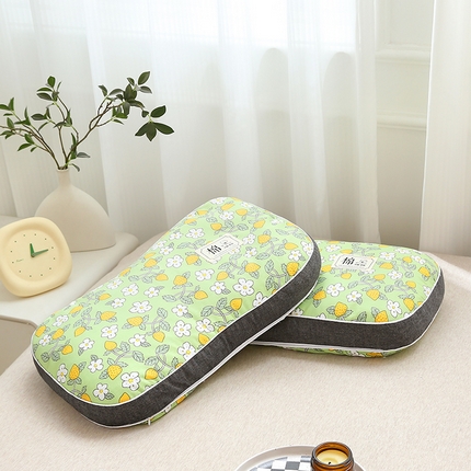 91家纺网 家纺一手货源 找家纺 梦叶草 2024新款全棉水洗印花荞麦枕芯纯荞麦枕头 水洗印花荞麦枕-大花浅绿