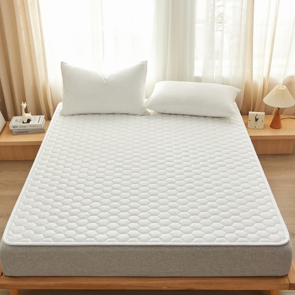 祁恋婷家居 2024新款全棉夹棉羽丝棉床褥垫 全棉护垫-元气白