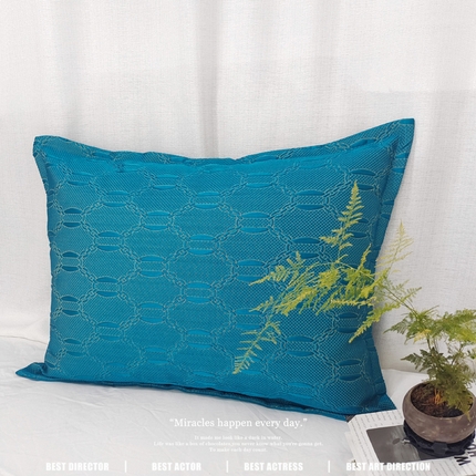 91家纺网 家纺一手货源 找家纺 （总）澜屿 新款高精密提花大靠枕