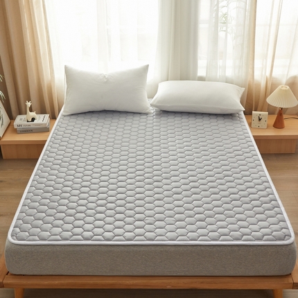 祁恋婷家居 2024新款全棉夹棉羽丝棉床褥垫 全棉护垫-元气灰