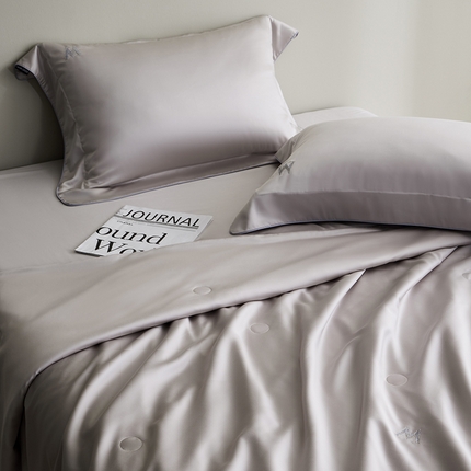 91家纺网 家纺一手货源 找家纺 佳汐蓝 2024新款A类冷凝超柔超细旦有机蚕丝夏被四件套-巴黎印象 青黛烟紫