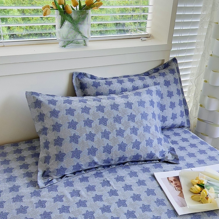 91家纺网 家纺一手货源 找家纺 优品阁 2024新款全棉磨毛四件套单品系列-单枕套 星雨