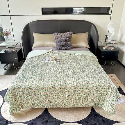 小芽 2024新款凉感丝夏被 9