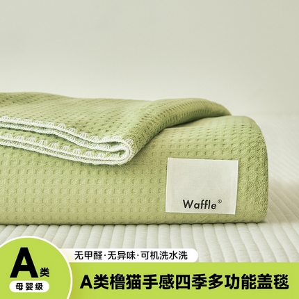 艾佳 2025新款多功能午睡毯空调毯秋冬床单床盖华夫格双层复合四季毯 薄荷曼波绿