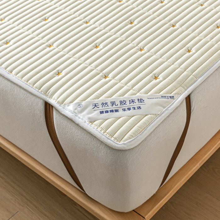 91家纺网 家纺一手货源 找家纺 鑫钰 2024新款1公分厚乳胶床垫薄款席梦思保护垫床护垫-星愿 乳胶床褥-星愿-雅白