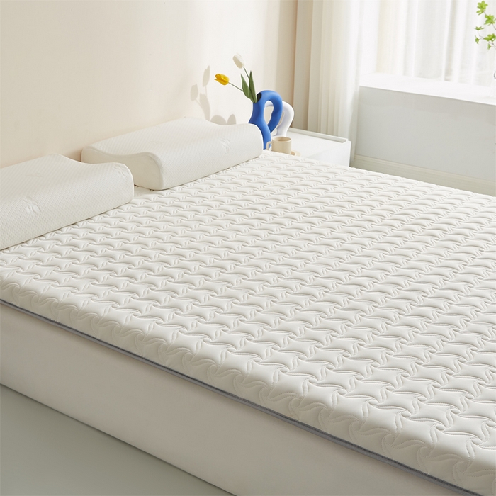 91家纺网 家纺一手货源 找家纺 寐珂 2025新款乳胶凉席床垫A类反面水洗棉加厚床垫学生宿舍床垫 贵族白