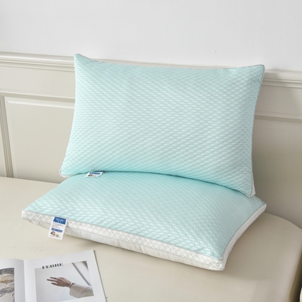 91家纺网 家纺一手货源 找家纺 （总）皇冠之家 2024新款冰豆豆羽丝棉枕芯48*74一只