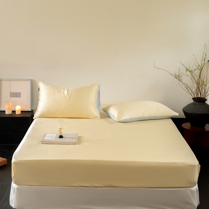 91家纺网 家纺一手货源 找家纺 （总）时光里 2024新款天丝棉套件与单床笠