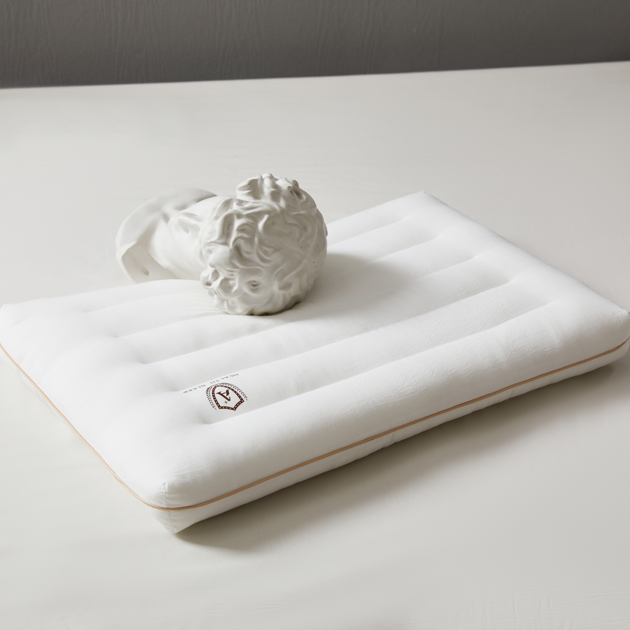 91家纺网 家纺一手货源 找家纺 星芯合家纺 2024新款水洗磨毛云柔护颈枕 云柔护颈枕48*74 低