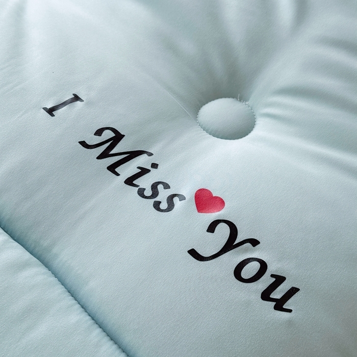 91家纺网 家纺一手货源 找家纺 招财狼家纺  2024新款水洗磨毛学生大豆被夏被春秋被多被芯被子 小爱心  水兰