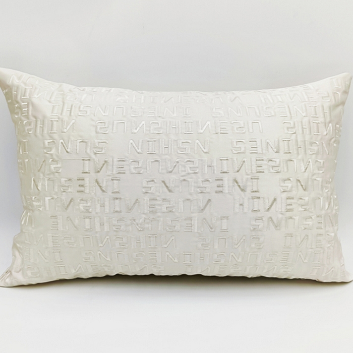 91家纺网 家纺一手货源 找家纺 澜屿 2024新款禅丝高精密刺绣小抱枕头枕芯腰靠枕 字母-米白