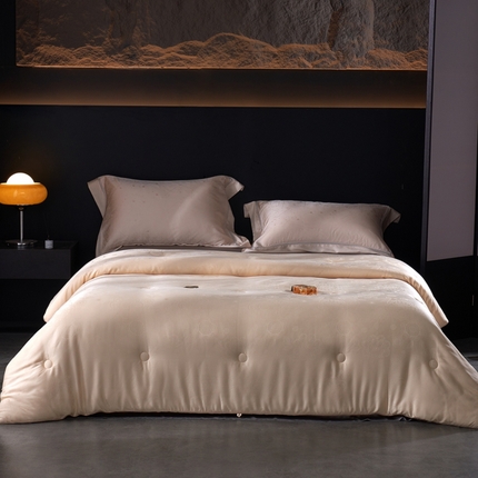 朴罗 （ 原岚图） 2024新款提花55%含量大豆被 香槟色提花