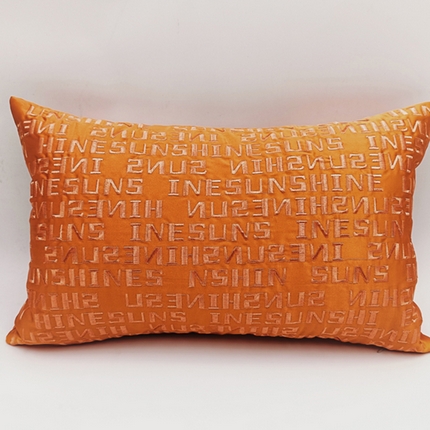 澜屿 2024新款禅丝高精密刺绣小抱枕头枕芯腰靠枕 字母-亮橙