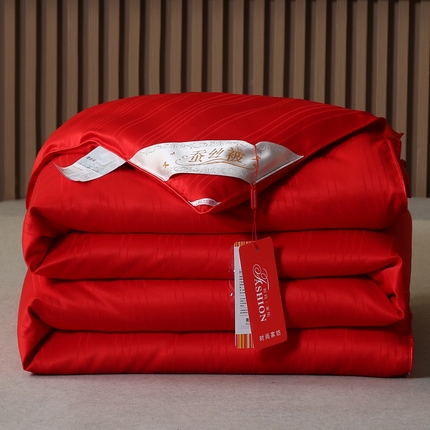 91家纺网 家纺一手货源 找家纺 （总）前程家纺 2025新款全棉120S提花锻条被子冬被春秋被夏被子母被双胎被二合一