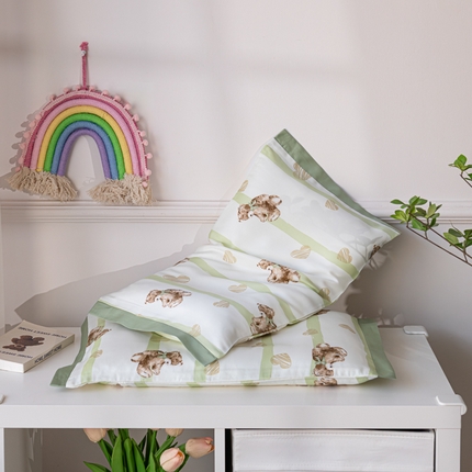 91家纺网 家纺一手货源 找家纺 （总）姝辰 2024新款A类莱赛尔天丝儿童枕套