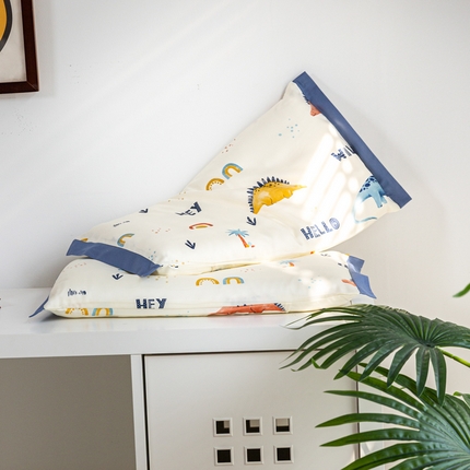 91家纺网 家纺一手货源 找家纺 （总）姝辰 2024新款A类莱赛尔天丝儿童枕套