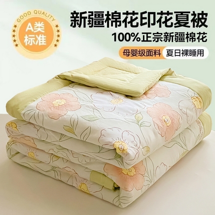 91家纺网 家纺一手货源 找家纺 美梦里 2024新款A类水洗棉棉花夏被 花季