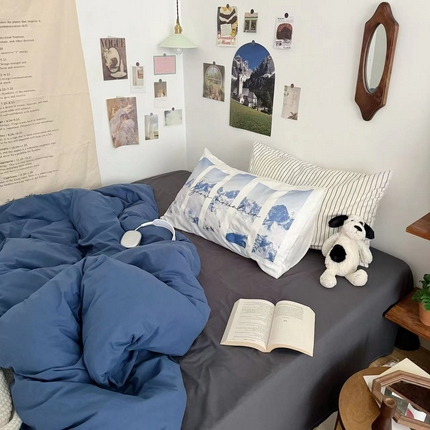 （总）艾沁 2024新款博主风全棉加密水洗棉四件套