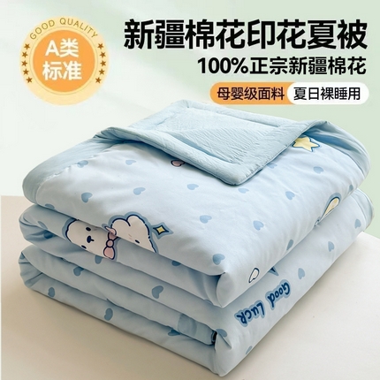 91家纺网 家纺一手货源 找家纺 美梦里 2024新款A类水洗棉棉花夏被 好运狗