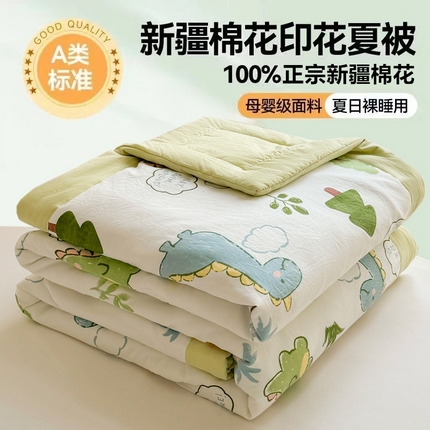 91家纺网 家纺一手货源 找家纺 美梦里 2024新款A类水洗棉棉花夏被 小恐龙