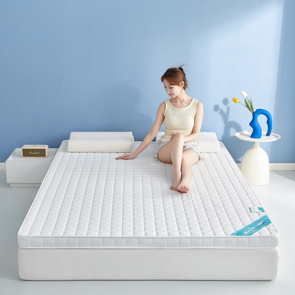 91家纺网 家纺一手货源 找家纺 （总）时奥家纺 2024新款针织凝胶海绵床垫