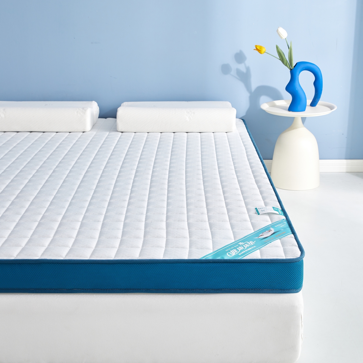 91家纺网 家纺一手货源 找家纺 时奥家纺 2024新款针织凝胶海绵床垫 华夫格蓝