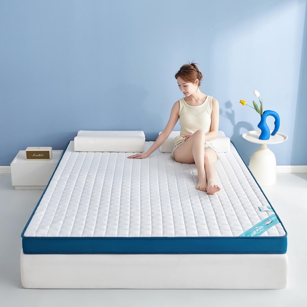 91家纺网 家纺一手货源 找家纺 时奥家纺 2024新款针织凝胶海绵床垫 华夫格蓝