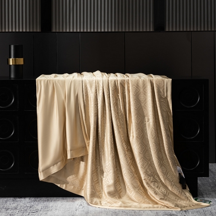 91家纺网 家纺一手货源 找家纺 匠心 2024新款提花可水洗蚕丝夏被 香槟色