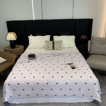 奈萝家纺 2024新款A类凉感丝小凉皮夏被可机洗夏被新品空调被小爱心紫