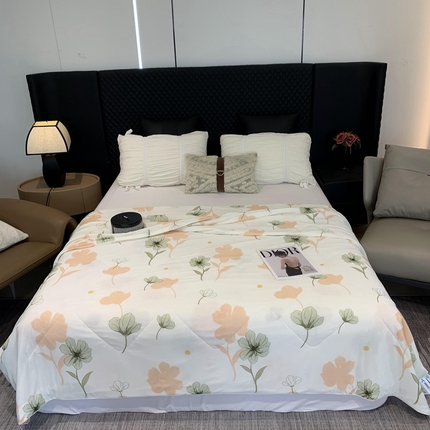 奈萝家纺 2024新款A类凉感丝小凉皮夏被可机洗夏被新品空调被月见