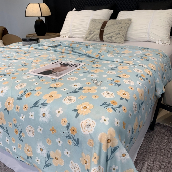 91家纺网 家纺一手货源 找家纺 奈萝家纺 2024新款A类凉感丝小凉皮夏被可机洗夏被新品空调被碎花系