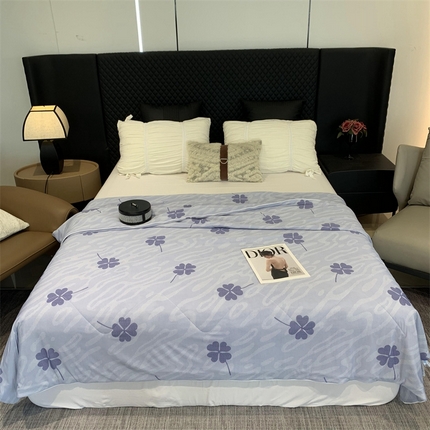奈萝家纺 2024新款A类凉感丝小凉皮夏被可机洗夏被新品空调被四叶草