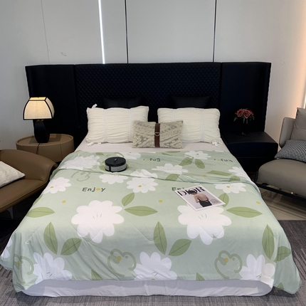 奈萝家纺 2024新款A类凉感丝小凉皮夏被可机洗夏被新品空调被小苍梨