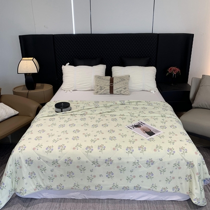 奈萝家纺 2024新款A类凉感丝小凉皮夏被可机洗夏被新品空调被蓝莓多多