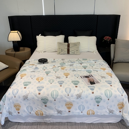 91家纺网 家纺一手货源 找家纺 奈萝家纺 2024新款A类凉感丝小凉皮夏被可机洗夏被新品空调被热气球