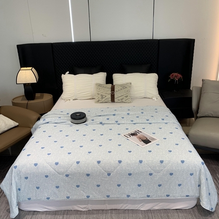 奈萝家纺 2024新款A类凉感丝小凉皮夏被可机洗夏被新品空调被小爱心蓝