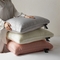 91家纺网 家纺一手货源 找家纺 （总）她喜爱枕芯枕头 2024新款那波利之夏经典蚕丝枕