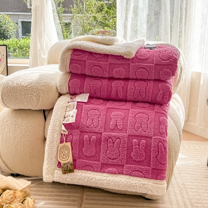 （总）呗旺鹿 2024新款多巴胺双面塔肤绒高克重盖毯（特价款）