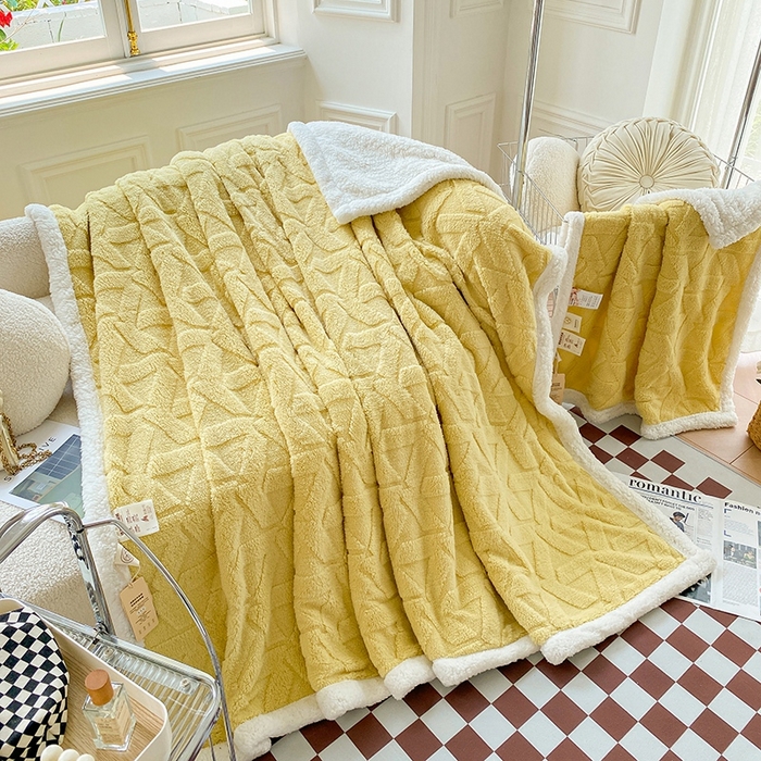 91家纺网 家纺一手货源 找家纺 呗旺鹿 2024新款多巴胺双面塔肤绒高克重盖毯（特价款） 格调