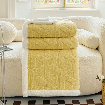 呗旺鹿 2024新款多巴胺双面塔肤绒高克重盖毯（特价款） 格调