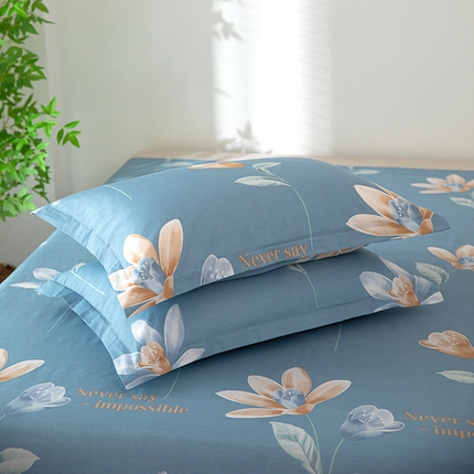 91家纺网 家纺一手货源 找家纺 总雨萝新款12868全棉纯棉枕套30*50cm一只