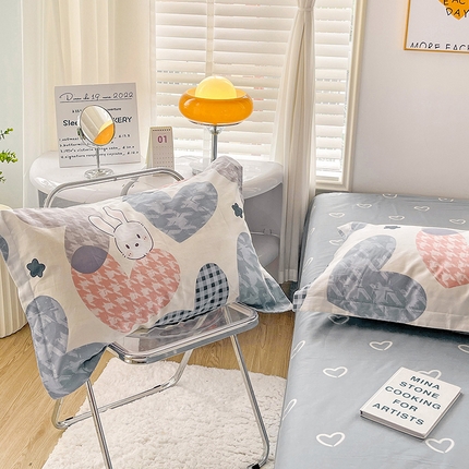 恩泽 2024新款ins风全棉单品枕套 漫步时光