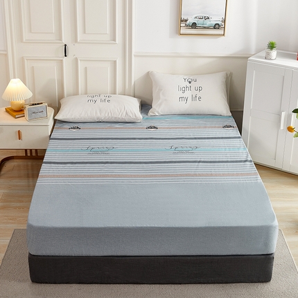 恩泽 2024新款ins风全棉单品床笠 皇家学院灰