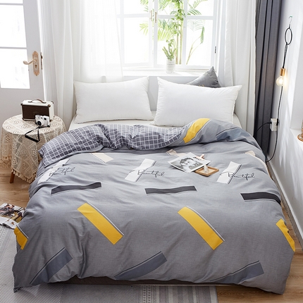 2024新款ins风全棉印花单品被套 思维空间
