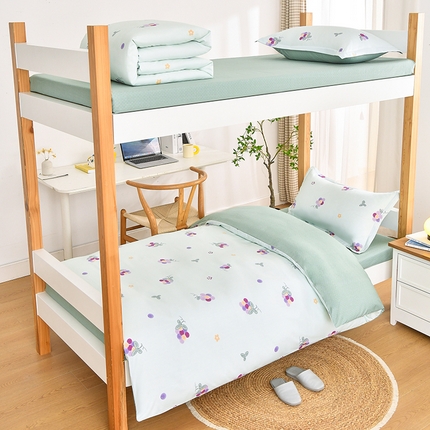 乐旗家纺 2024新款13372小清新床单款-床笠款-三件套-六件套 多肉葡萄