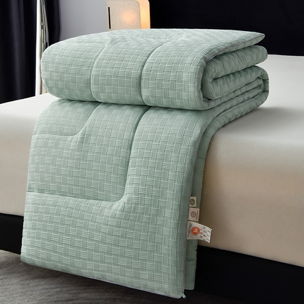 91家纺网 家纺一手货源 找家纺 （总）羽涵家纺 2024新款10A抗菌10A抗菌华夫格羽丝被冬被春秋被