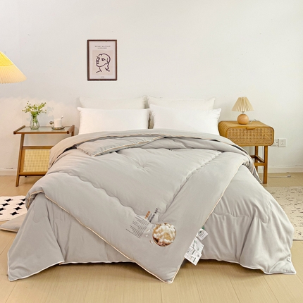 思雅庭 2024新款亲肤棉蚕蛹蛋白子母被 灰色